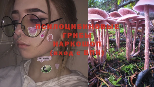 ПСИЛОЦИБИНОВЫЕ ГРИБЫ Няндома