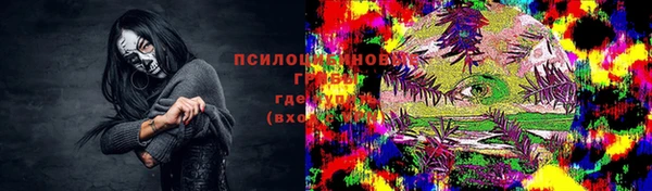 MDMA Новодвинск