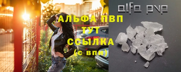 ПСИЛОЦИБИНОВЫЕ ГРИБЫ Няндома