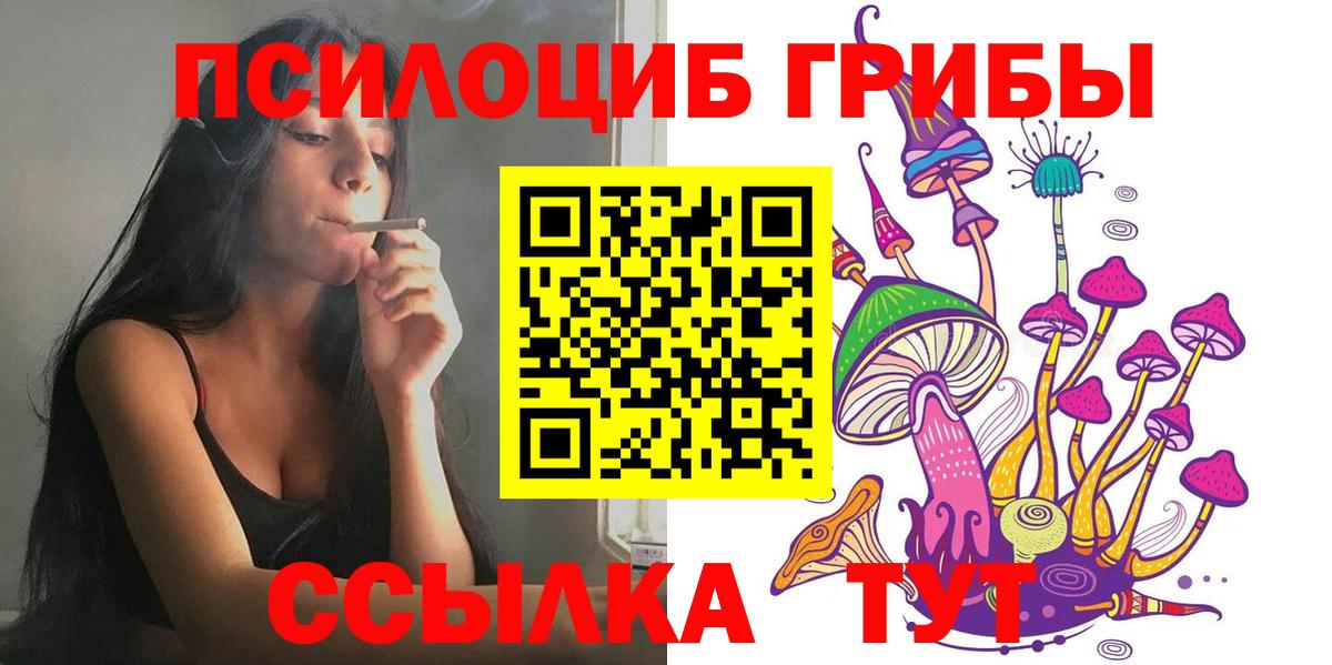 Псилоцибиновые грибы Psilocybine cubensis  Псилоцибиновые грибы прущие грибы  Лысьва 
