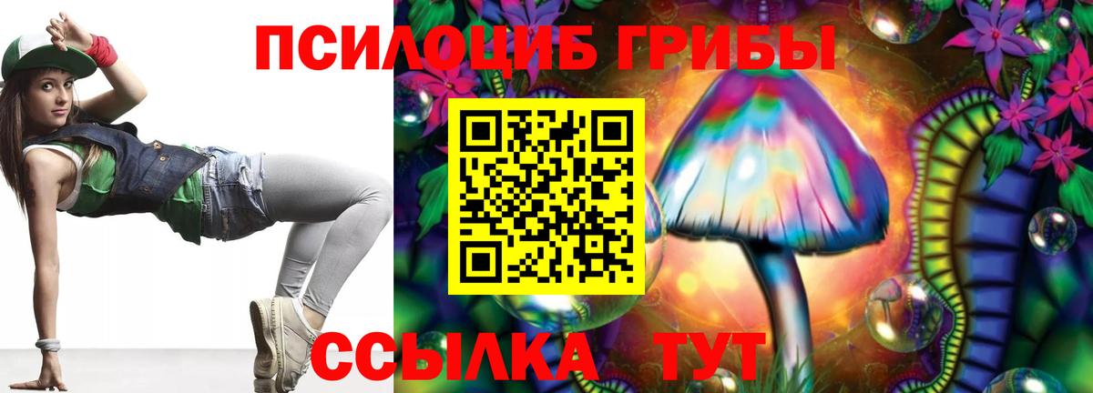 Псилоцибиновые грибы Psilocybine cubensis Лысьва